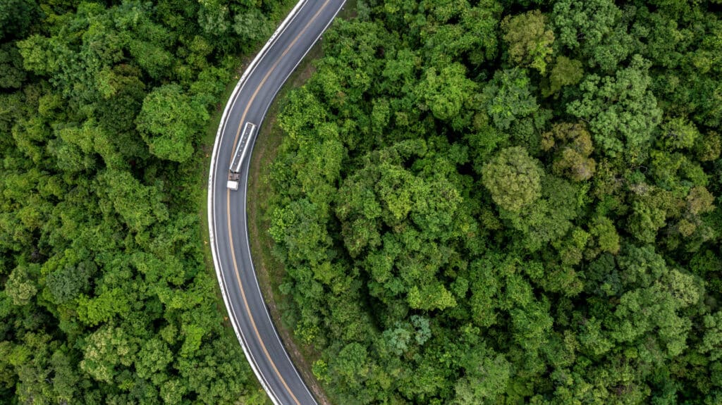 Route de forêt luxuriante